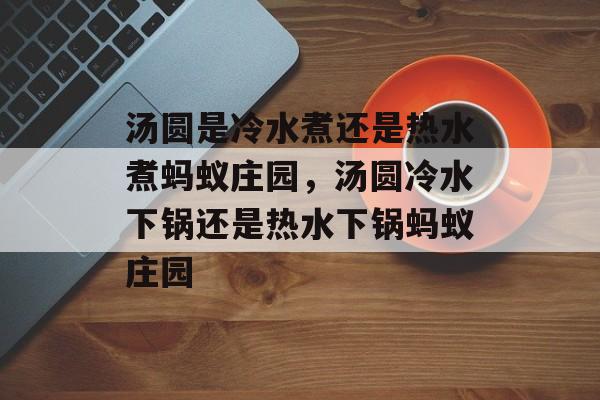 汤圆是冷水煮还是热水煮蚂蚁庄园，汤圆冷水下锅还是热水下锅蚂蚁庄园-第1张图片-