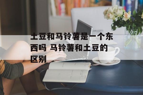 土豆和马铃薯是一个东西吗 马铃薯和土豆的区别-第1张图片-