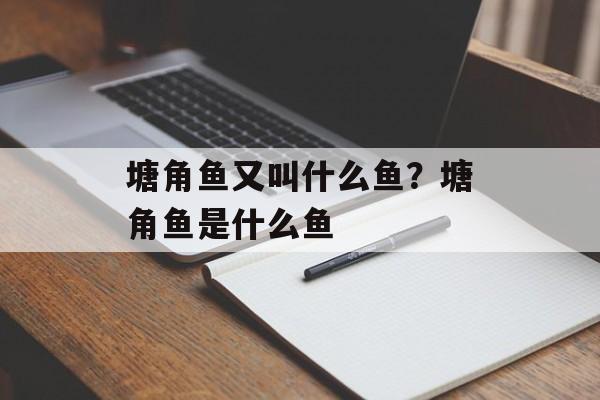 塘角鱼又叫什么鱼？塘角鱼是什么鱼-第1张图片-