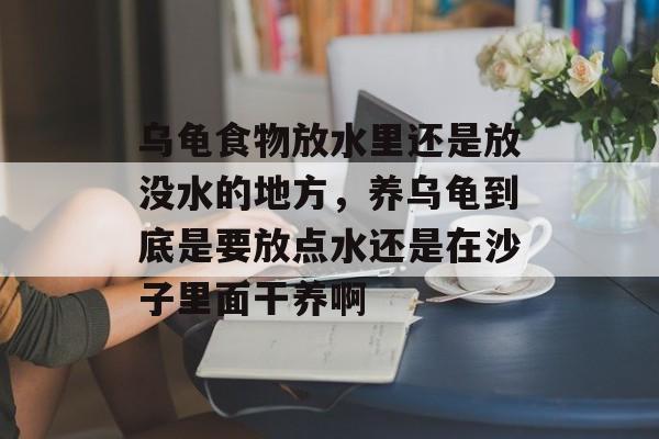 乌龟食物放水里还是放没水的地方，养乌龟到底是要放点水还是在沙子里面干养啊-第1张图片-