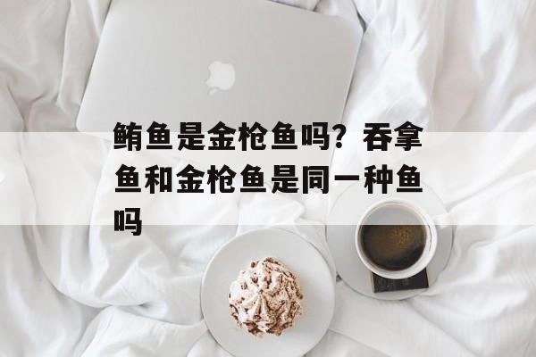 鲔鱼是金枪鱼吗？吞拿鱼和金枪鱼是同一种鱼吗-第1张图片-