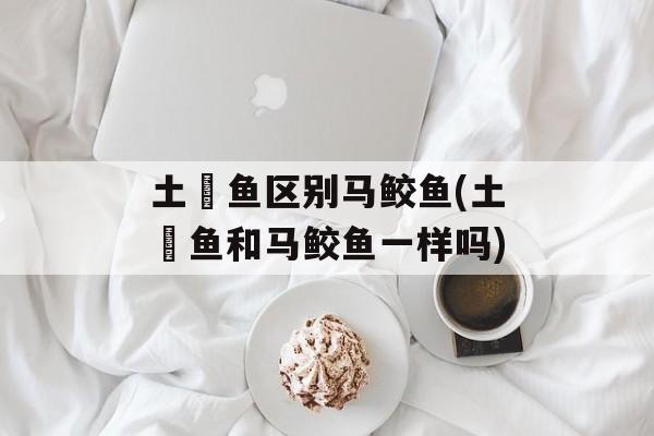 土魠鱼区别马鲛鱼(土魠鱼和马鲛鱼一样吗)-第1张图片-