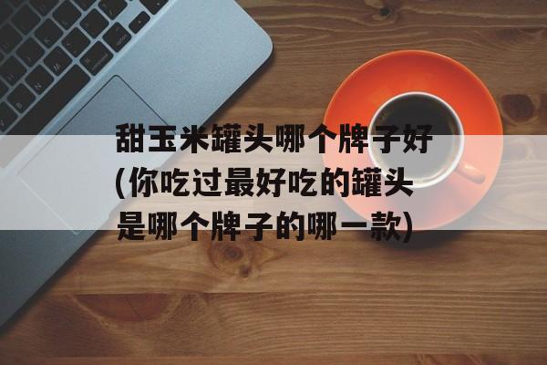 甜玉米罐头哪个牌子好(你吃过最好吃的罐头是哪个牌子的哪一款)-第1张图片-