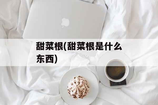 甜菜根(甜菜根是什么东西)-第1张图片-