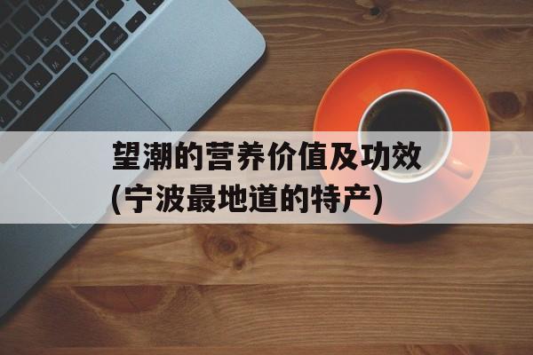 望潮的营养价值及功效(宁波最地道的特产)-第1张图片-