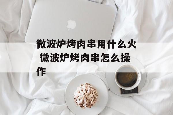 微波炉烤肉串用什么火 微波炉烤肉串怎么操作-第1张图片-
