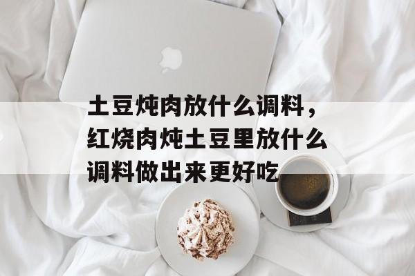 土豆炖肉放什么调料，红烧肉炖土豆里放什么调料做出来更好吃-第1张图片-