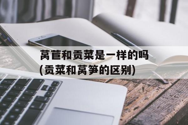 莴苣和贡菜是一样的吗(贡菜和莴笋的区别)-第1张图片-