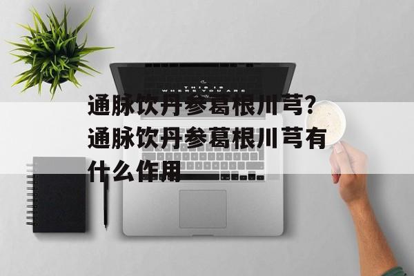 通脉饮丹参葛根川芎？通脉饮丹参葛根川芎有什么作用-第1张图片-