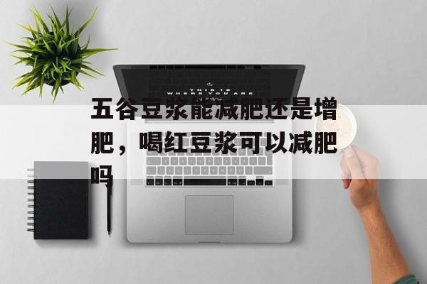 五谷豆浆能减肥还是增肥，喝红豆浆可以减肥吗-第1张图片-