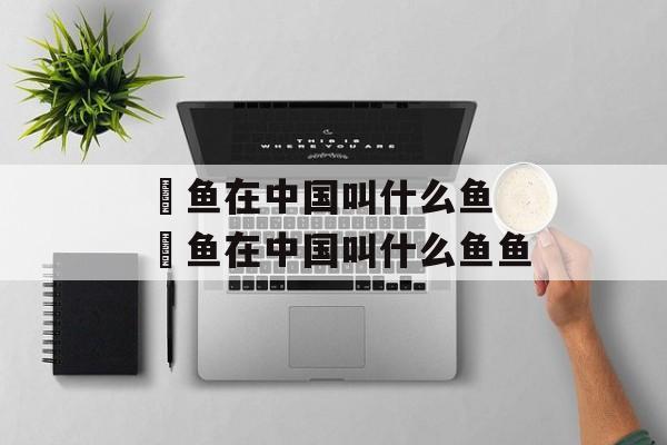 鳀鱼在中国叫什么鱼 鳀鱼在中国叫什么鱼鱼-第1张图片-
