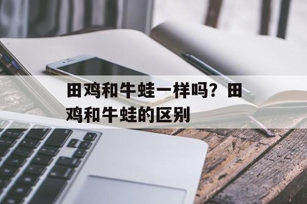 田鸡和牛蛙一样吗？田鸡和牛蛙的区别-第1张图片-