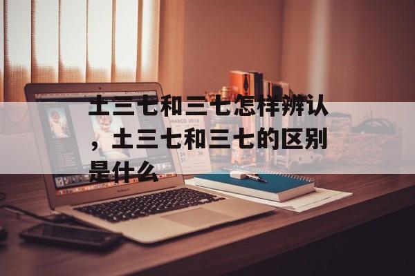 土三七和三七怎样辨认，土三七和三七的区别是什么-第1张图片-