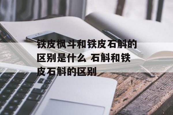 铁皮枫斗和铁皮石斛的区别是什么 石斛和铁皮石斛的区别-第1张图片-