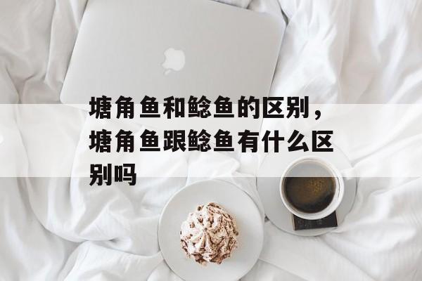 塘角鱼和鲶鱼的区别，塘角鱼跟鲶鱼有什么区别吗-第1张图片-