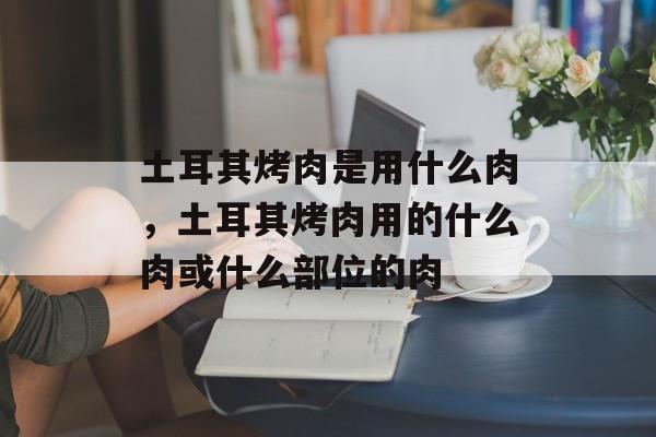 土耳其烤肉是用什么肉，土耳其烤肉用的什么肉或什么部位的肉-第1张图片-