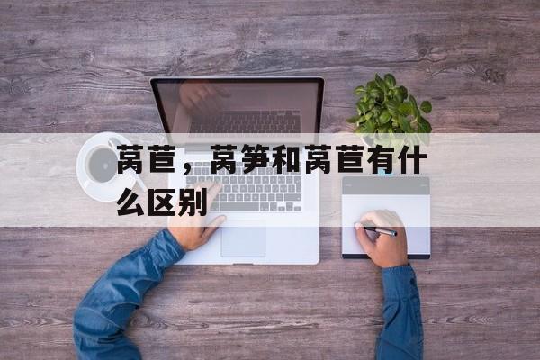 莴苣，莴笋和莴苣有什么区别-第1张图片-