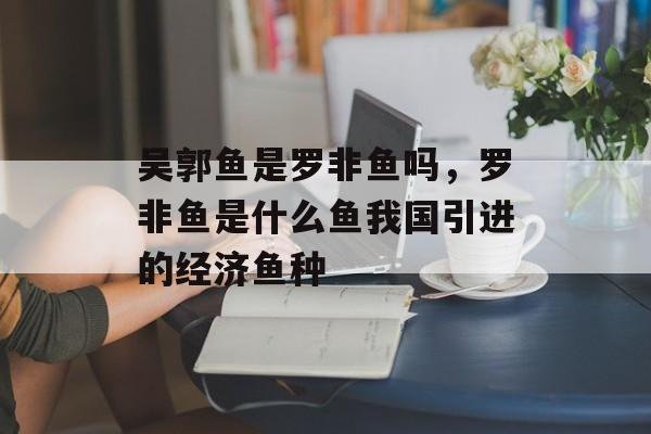 吴郭鱼是罗非鱼吗，罗非鱼是什么鱼我国引进的经济鱼种-第1张图片-