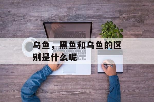 乌鱼，黑鱼和乌鱼的区别是什么呢-第1张图片-