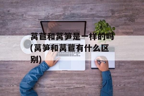 莴苣和莴笋是一样的吗(莴笋和莴苣有什么区别)-第1张图片-