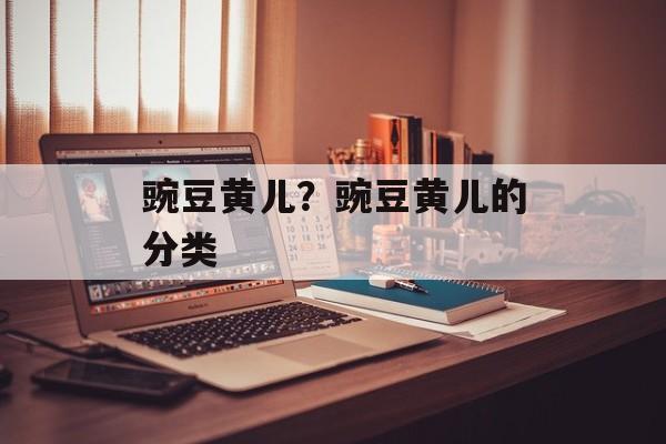 豌豆黄儿？豌豆黄儿的分类-第1张图片-