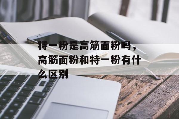 特一粉是高筋面粉吗，高筋面粉和特一粉有什么区别-第1张图片-