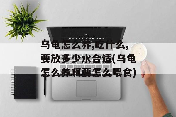 乌龟怎么养,吃什么,要放多少水合适(乌龟怎么养啊要怎么喂食)-第1张图片-