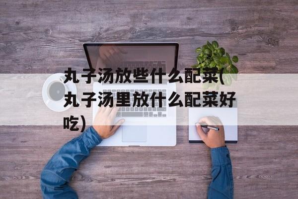 丸子汤放些什么配菜(丸子汤里放什么配菜好吃)-第1张图片-
