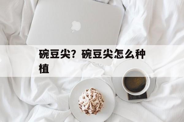 碗豆尖？碗豆尖怎么种植-第1张图片-