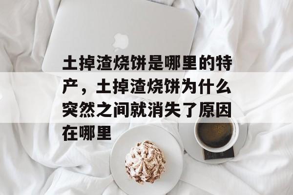土掉渣烧饼是哪里的特产，土掉渣烧饼为什么突然之间就消失了原因在哪里-第1张图片-