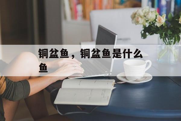 铜盆鱼，铜盆鱼是什么鱼-第1张图片-