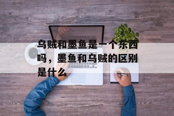 乌贼和墨鱼是一个东西吗，墨鱼和乌贼的区别是什么-第1张图片-