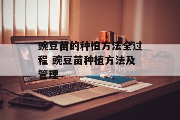 豌豆苗的种植方法全过程 豌豆苗种植方法及管理-第1张图片-