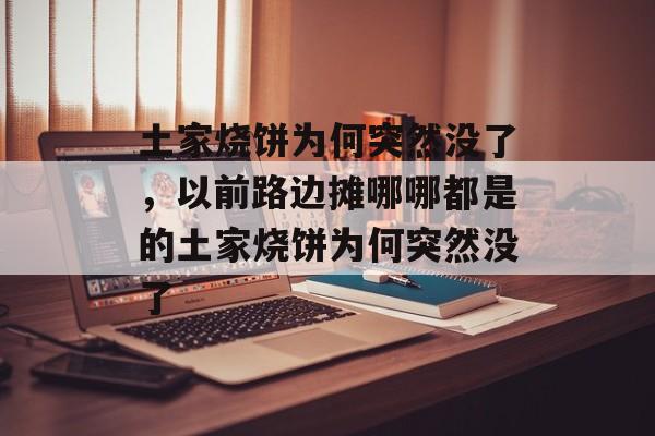 土家烧饼为何突然没了，以前路边摊哪哪都是的土家烧饼为何突然没了-第1张图片-