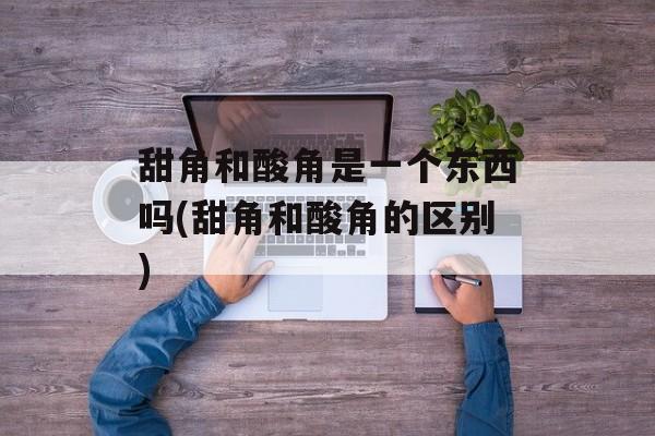 甜角和酸角是一个东西吗(甜角和酸角的区别)-第1张图片-