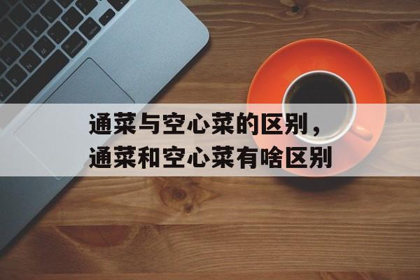 通菜与空心菜的区别，通菜和空心菜有啥区别-第1张图片-