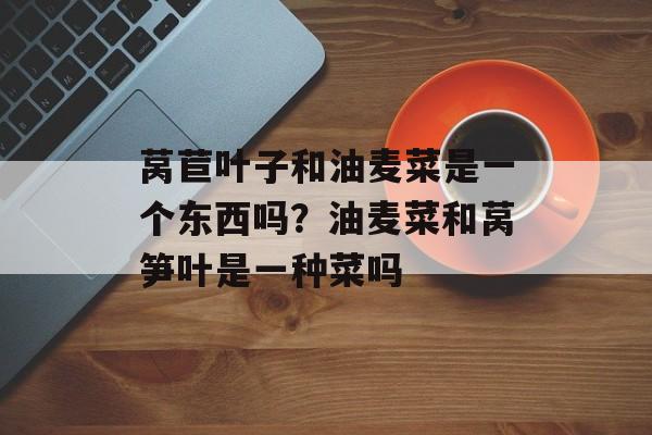莴苣叶子和油麦菜是一个东西吗？油麦菜和莴笋叶是一种菜吗-第1张图片-