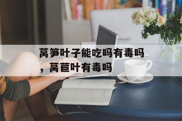 莴笋叶子能吃吗有毒吗，莴苣叶有毒吗-第1张图片-